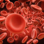 RBC – kırmızı kan hücreleri