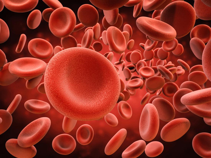 RBC – kırmızı kan hücreleri