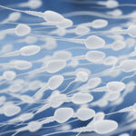 Sperm kalitesini arttırmanın yolları
