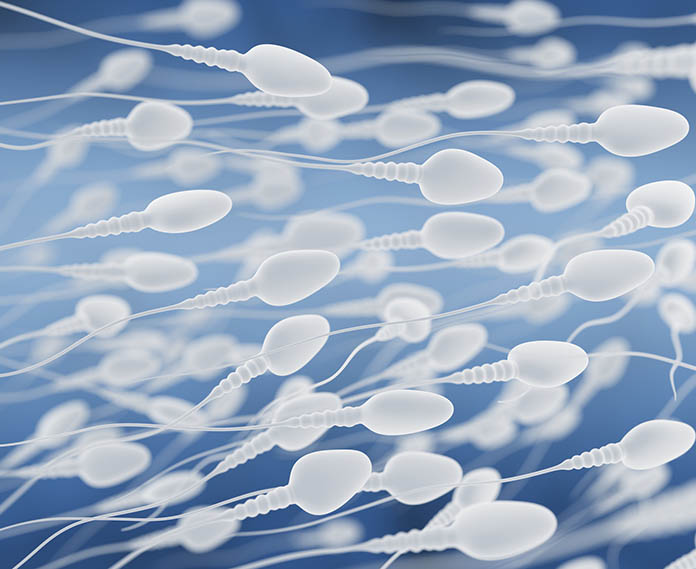 Sperm kalitesini arttırmanın yolları