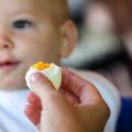 bebeklerde yumurta alerjisi1
