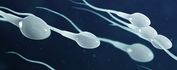 erkeklerde sperm sayisini arttirmak1
