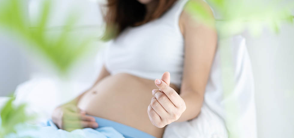 Hamileliğin 4. Haftasında Bebeğin Gelişimi Nasıldır