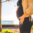 Hamileliğin 12. Haftası - 12 Haftalık Gebelik