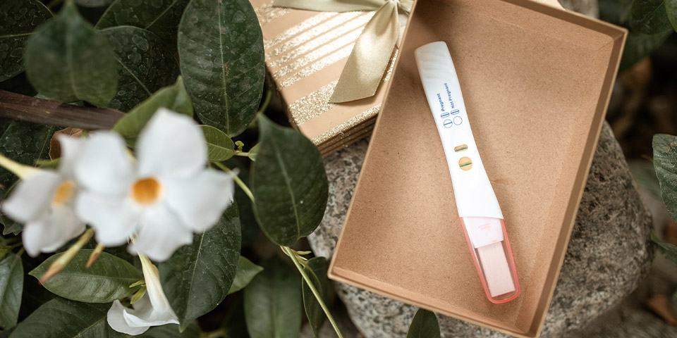 Hamilelik Testi Hatalı Pozitif Çıkabilir Mi