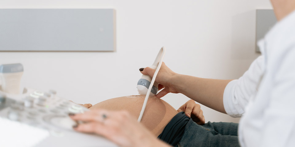 Bebeğinizin Ultrason Görüntüsü Nasıldır On Dört Haftada Cinsiyet