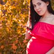Hamileliğin 13. Haftası - 13 Haftalık Gebelik