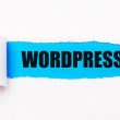 Wordpress için en iyi hosting 2021