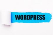 Wordpress için en iyi hosting 2021