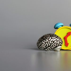 Human brain and alarm clock with copy space.