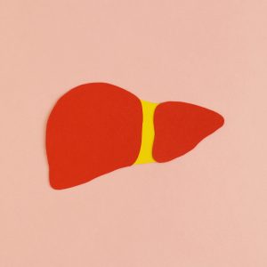 Liver on yellow background