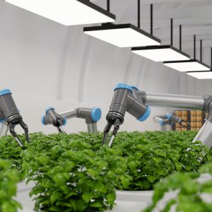 Robotic in agriculture futuristic concept,Agriculture technology and Farm automation