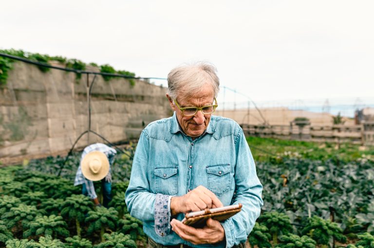 Senior agronomist man working with tablet inside a farmland - Agricultural sustainability concept